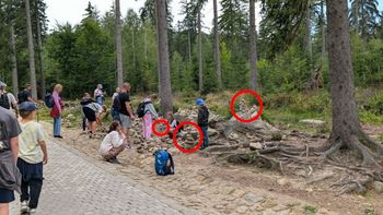 Niepokojący widok przy szlaku. Zdjęcie z Karkonoszy