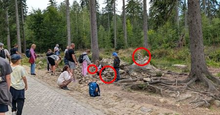 Niepokojący widok przy szlaku. Zdjęcie z Karkonoszy