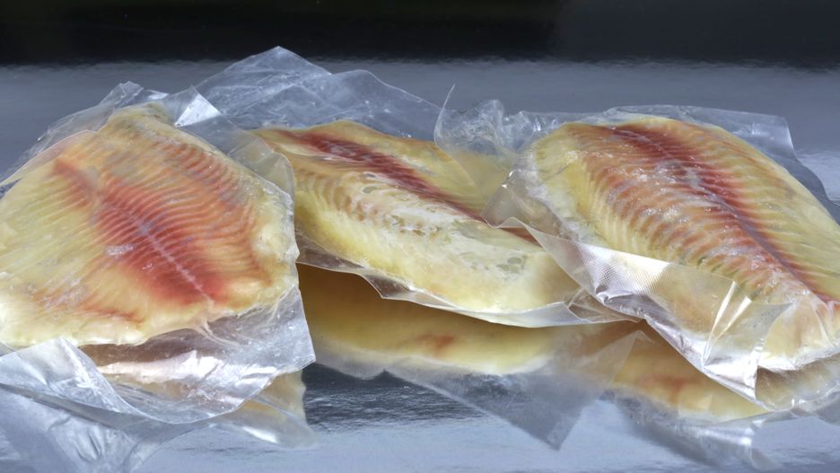 Tilapia - dlaczego lepiej unikać?