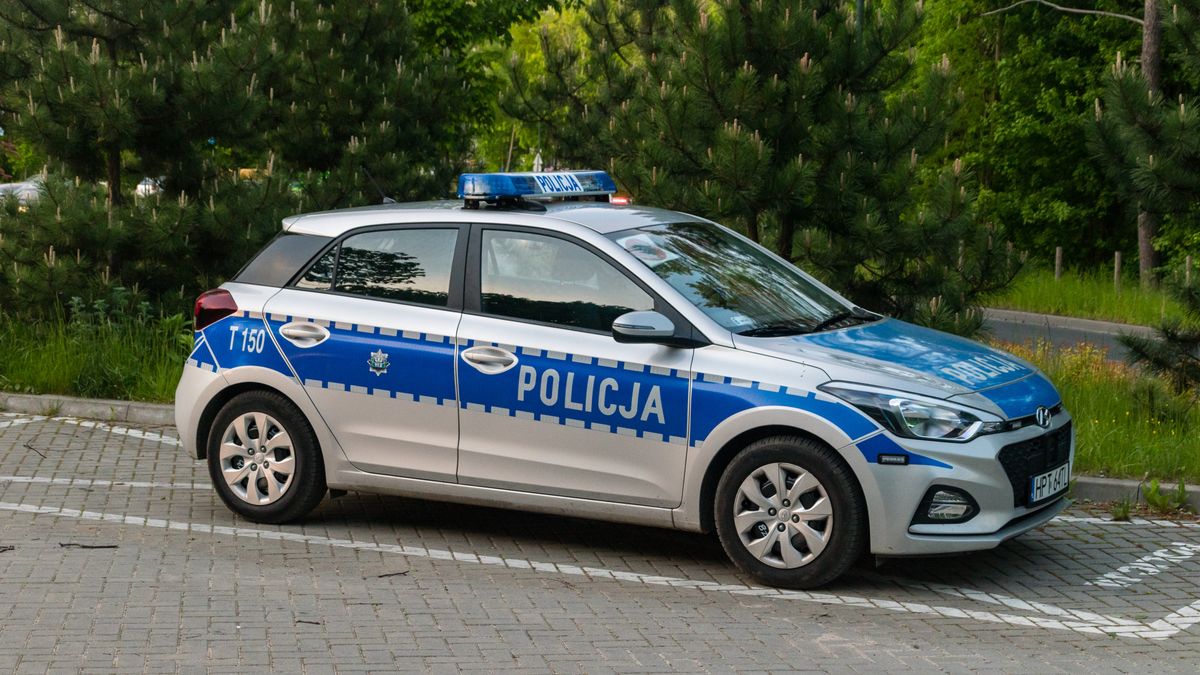 Policja