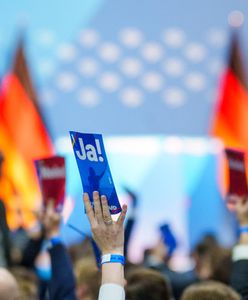 Polityczny krajobraz Bundestagu. Skrajna prawica liderem sondaży