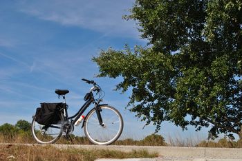 Biała Podlaska: Zginął ci rower na terenie miasta? Policja zatrzymała złodzieja i pasera