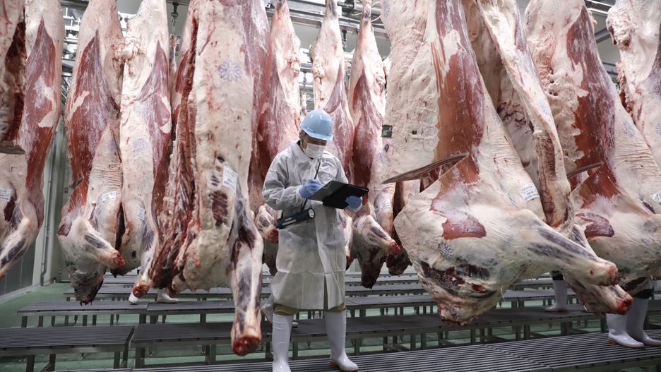 Wołowina wagyu jest jednym z najdroższych mięs świata