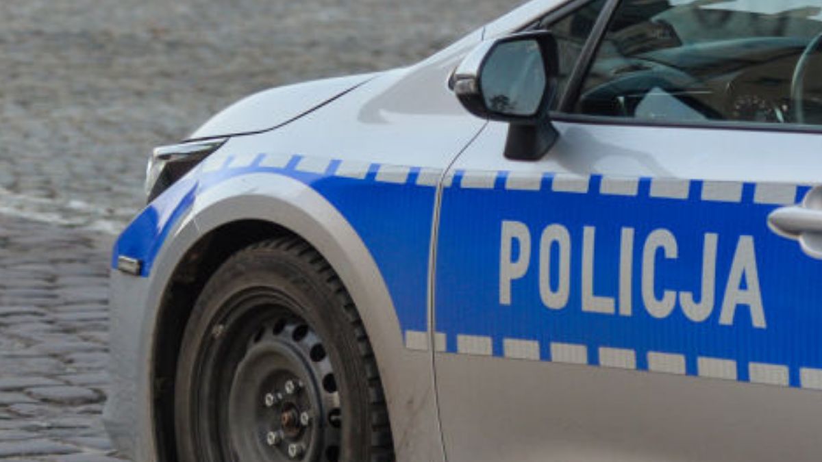 roman k. policja ruch palikota ksiadz pedofilia pornografia dziecieca