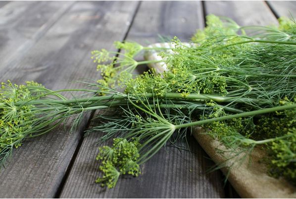 Jak myć warzywa i owoce?