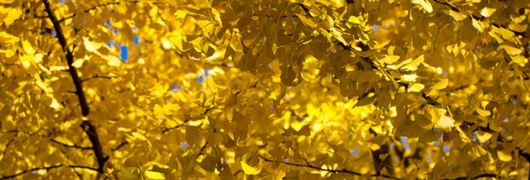 Nikon D7000 ? testy, recenzje i zdjęcia 6