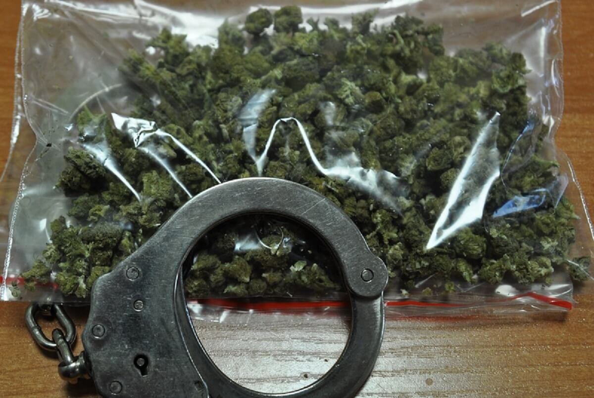 Marihuana znaleziona w domu dilera