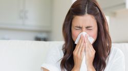 Katar podczas jedzenia