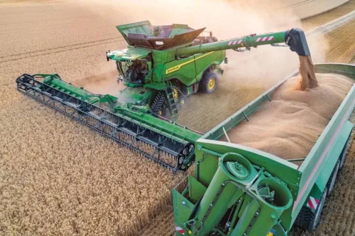 FAO prognozuje rekordową produkcję zbóż w sezonie 2025/26. Co na