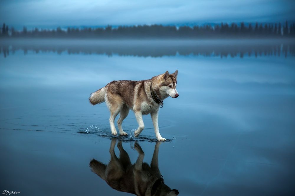 Nie uwierzycie, że te zdjęcia powstały bez pomocy Photoshopa 24