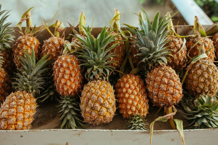 Ananas jadalny to gatunek rośliny z rodziny ananasowatych. W owocu tym znaleźć można np. witaminy z grupy B i witaminę C.