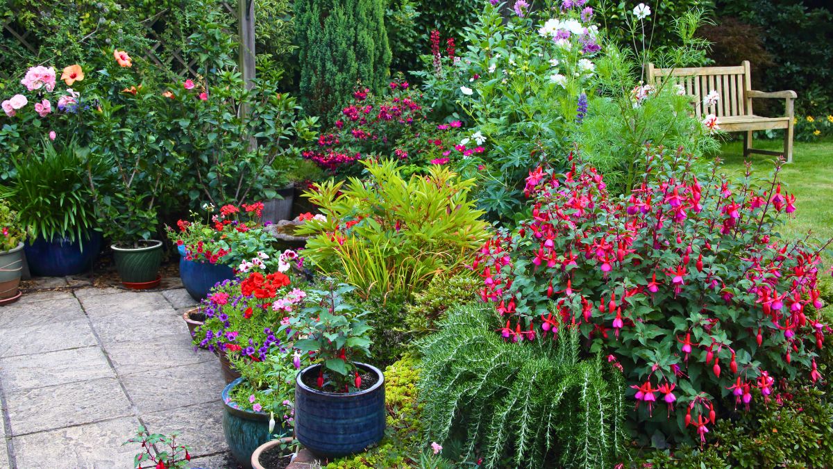 Oto ekonomiczny patent na piękny ogród 