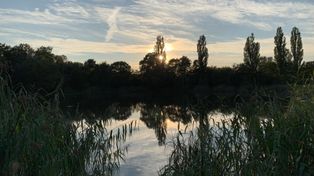 Brody: Światowy Dzień Wody. Wielkie sprzątanie i inwestycje w planach