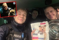 Porzucony buldog na mrozie. Policja znalazła go przywiązanym do drzewa