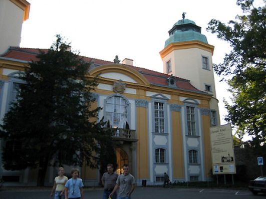 Obraz
