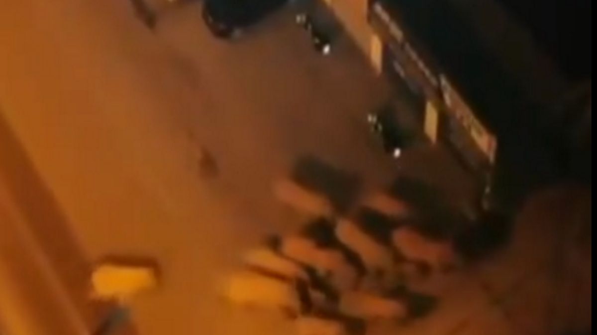 Słonie przemierzające ulice