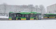 Poznań: ZTM uruchamia trzy nowe linie autobusowe