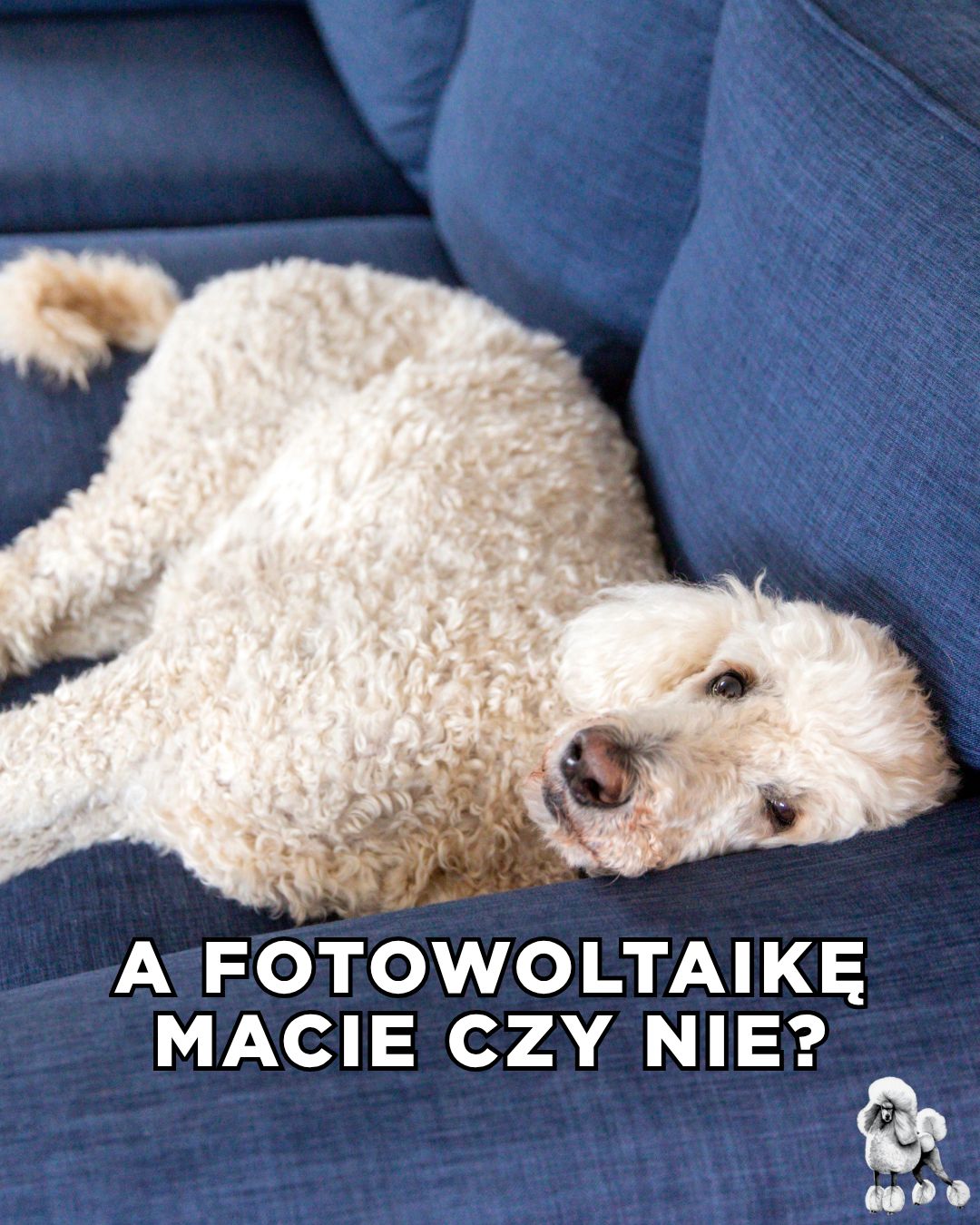 Najlepsze TEKSTY z "Love is Blind"