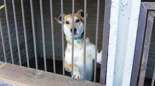 Kielce: Integracja przy ognisku w Dyniowej Planecie