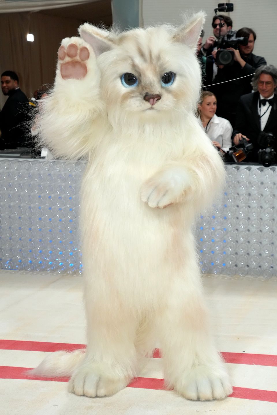 Jared Leto jako Choupette