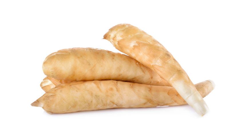 Maranta trzcinowa to wiecznie zielona roślina, z kłączy której wyrabia się mączkę skrobiową. Produkt znajduje szerokie zastosowanie w kuchni, ale i w medycynie.