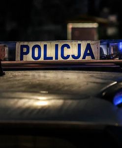 Makabra w Zielonej Górze. Ciało kobiety leżało na ławce, jej kolega trafił do szpitala