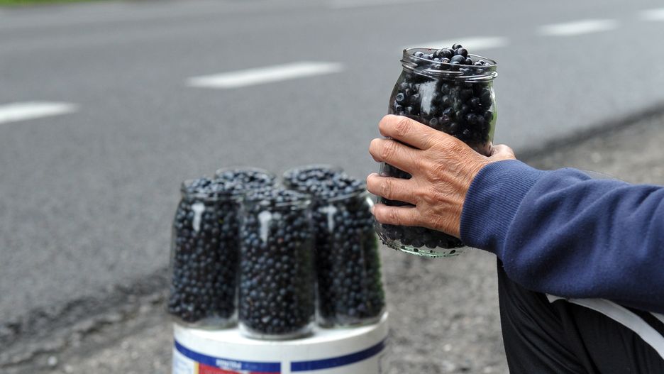 W słoiku mieści się 0,6 kg jagód 