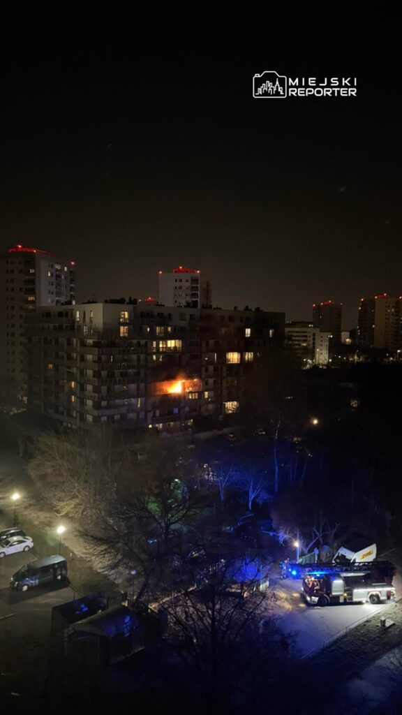 Fot. Czytelniczka Miejskiego Reportera