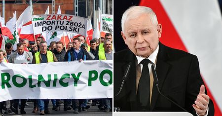 "Totalna panika" na granicy. "To jest absurd, niszczenie działalności gospodarczej"