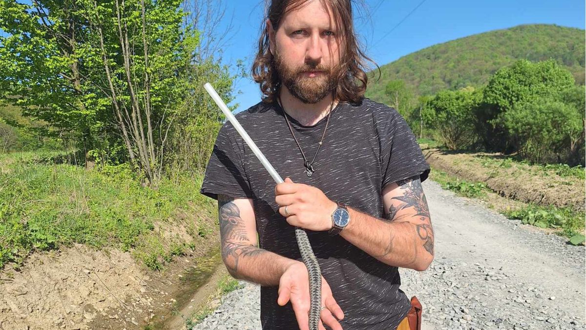 Stanisław Bury z Uniwersytetu Jagiellońskiego w Krakowie/ specjalista od żmij