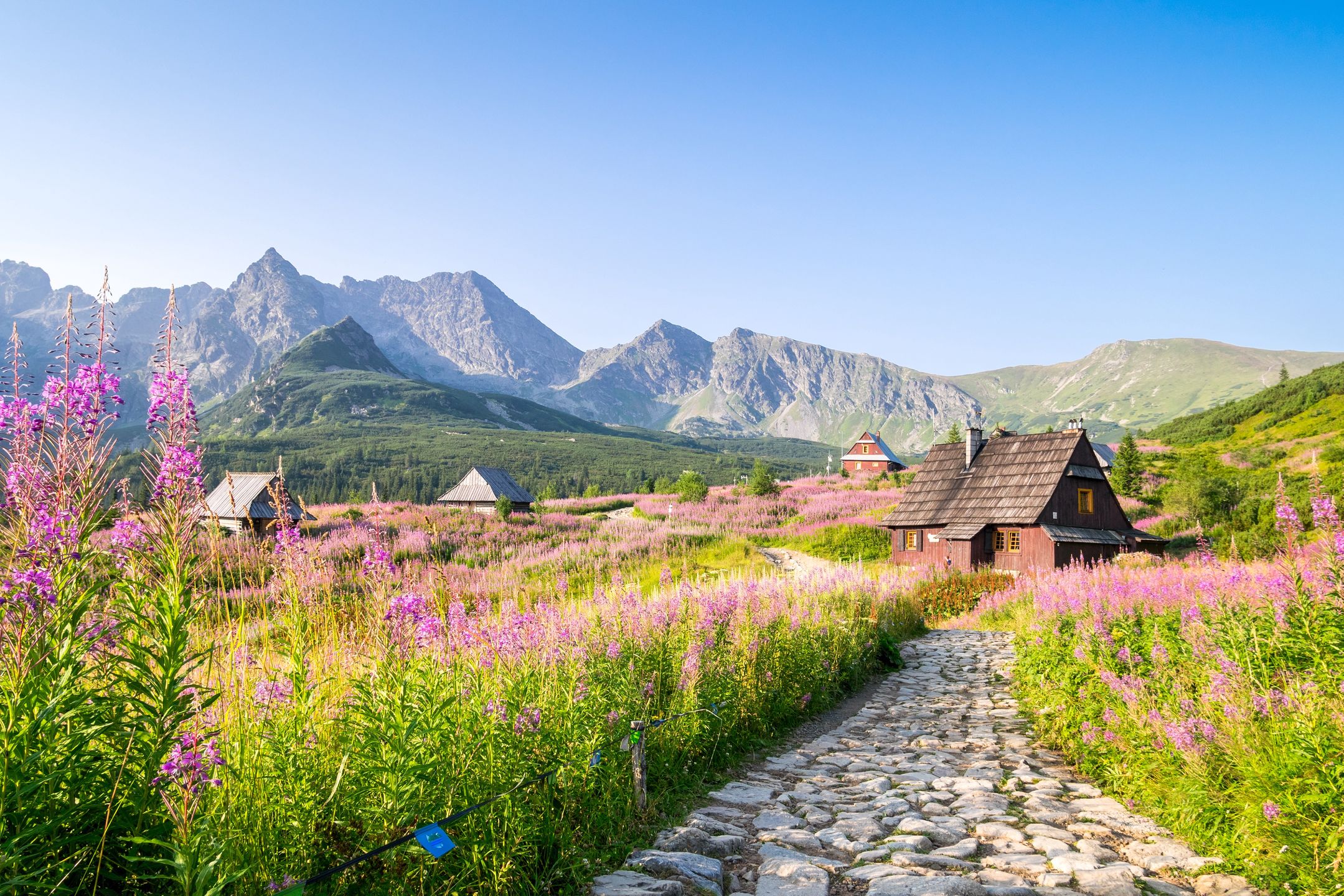 Wooden huts scattered on flowery meadow in Tatra Mountains National Park, Poland
Jacek Sopotnicki
poland, tatra, house, wooden, hut, green, landscape, chalet, zakopane, mountain, valley, outdoor, forest, mountains, cabin, tatry, nature, sky, travel, sunny, rural, blue, meadow, summer, countryside, traditional, beautiful, view, building, tree, hill, grass, scene, holiday, scenery, season, violet, flower, symbol, national, park, scattered, wood, flowery, close up, poland, tatra, house, wooden, hut, green, landscape, chalet, zakopane, mountain, valley, outdoor, forest, mountains, cabin, tatry, nature, sky, travel, sunny, rural, blue, meadow, summer, countryside, traditional, beautiful, view, building, tree, hill, grass, scene, holiday, scenery, season, violet, flower, symbol, national, park, scattered, wood, flowery, close up
