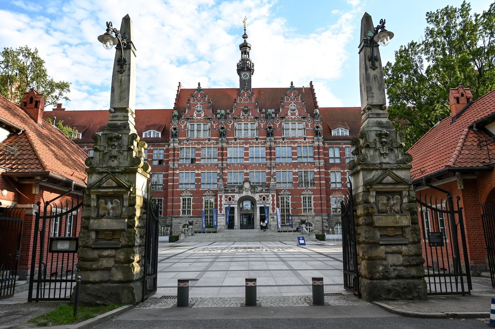 Naukowcy z Politechniki Gdańskiej zamienili kapustę pekińską w... materiał do sensorów