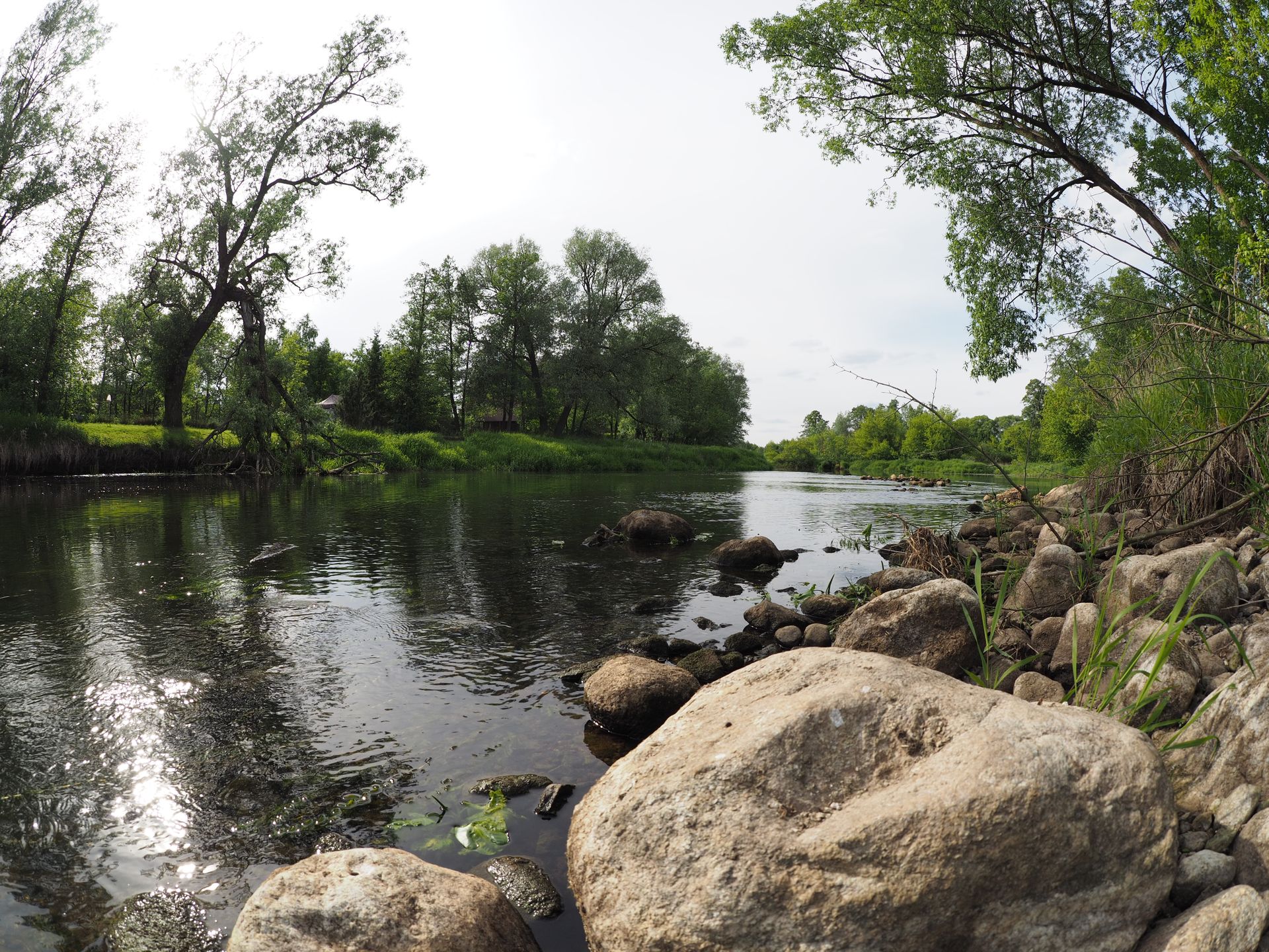 Co to jest obiektyw fisheye (rybie oko)? 16