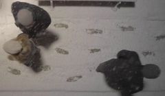 Ślady znikające w śniegu w kampanii Fundacji Itaka (wideo)