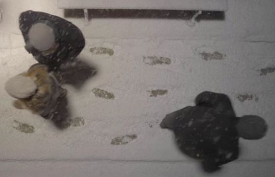 Ślady znikające w śniegu w kampanii Fundacji Itaka (wideo)