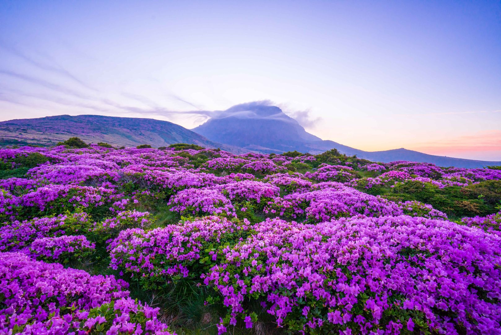 Wyspa Jeju