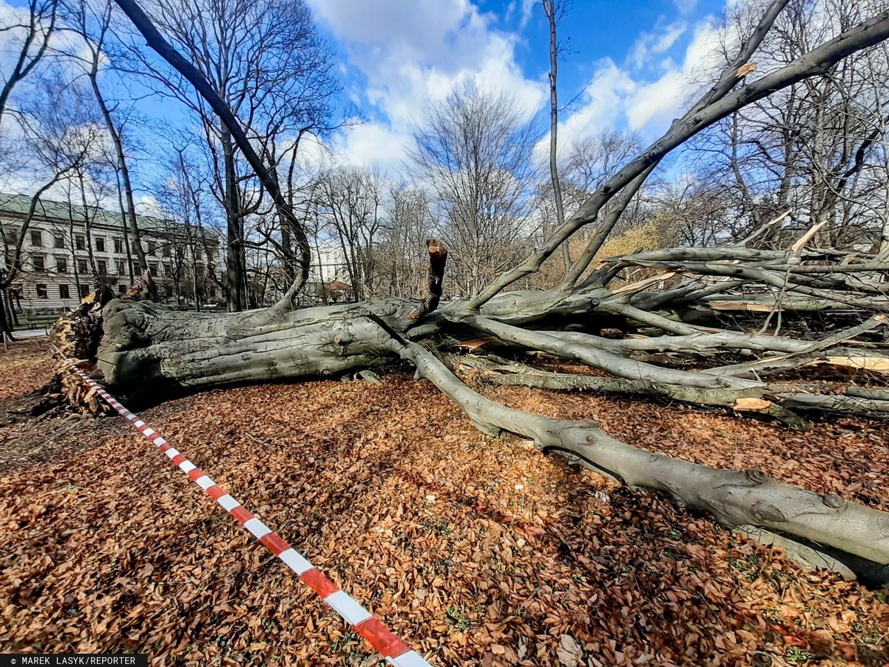 Skutki ostatnich wichur nad Polską 