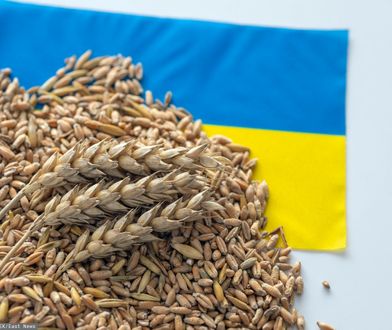 Spór o ukraińskie zboże. Jest deklaracja Ukrainy
