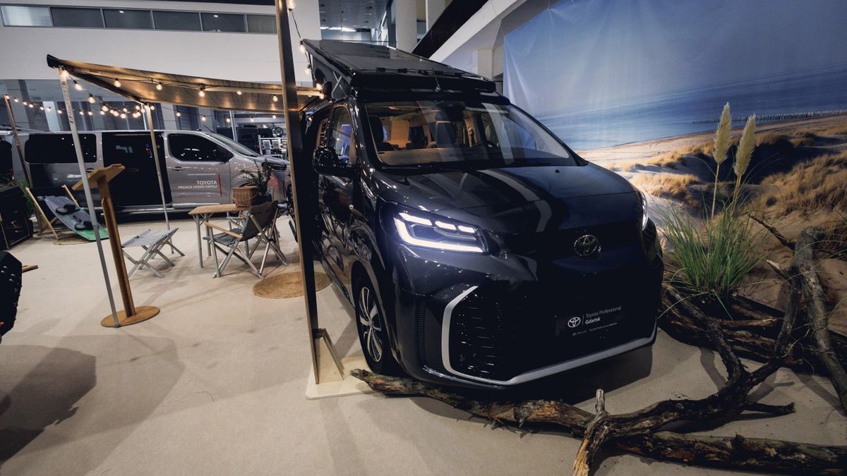 Toyota ProAce Verso Tanuki