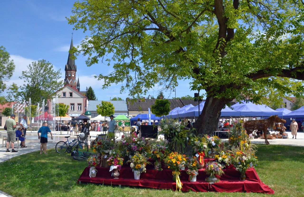 Rozwadów: Obchody 335 lat dziejów, niegdyś miasteczka, dziś osiedla Stalowej Woli. Zobacz program