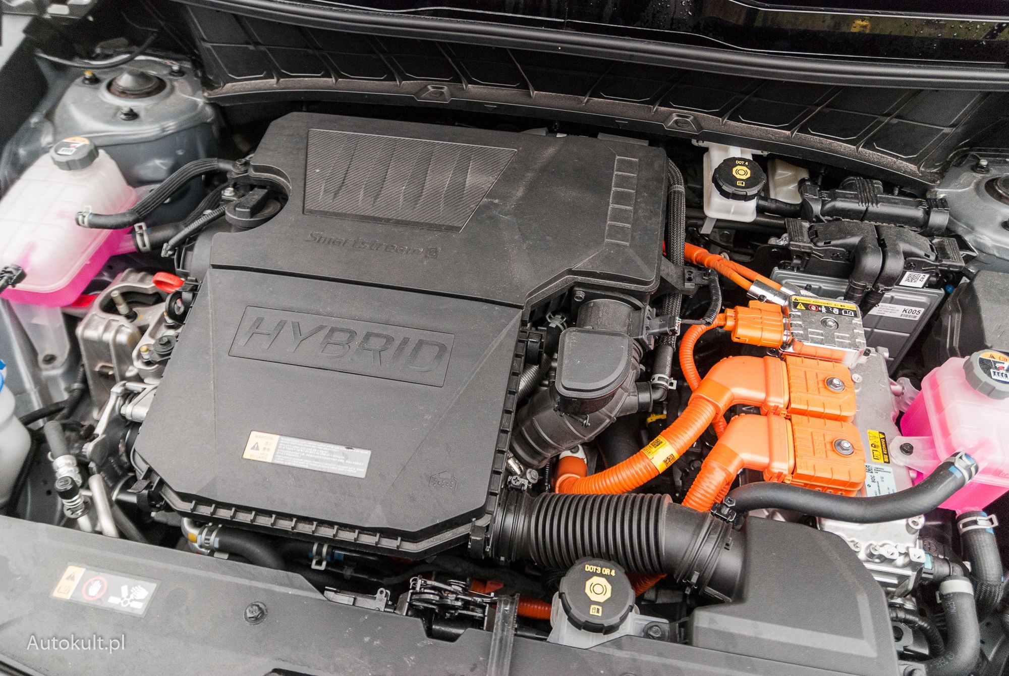 Kia Niro HEV