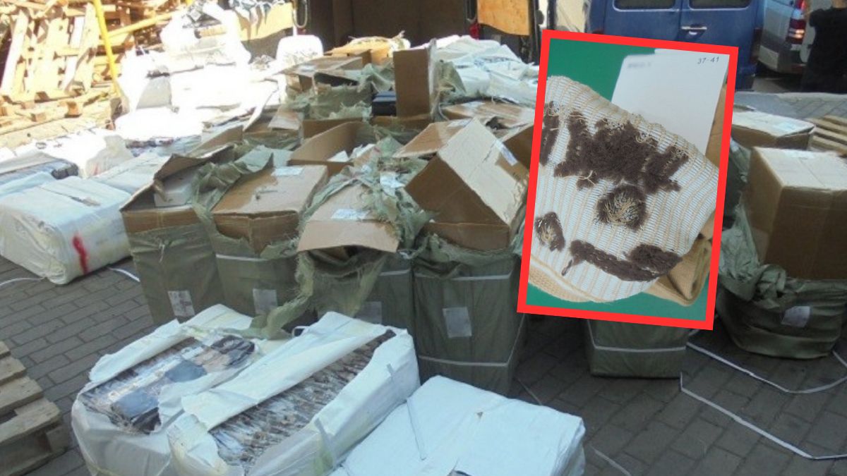 W Chełmie odkryto 18 ton podrabianych skarpetek. Oryginalne byłyby warte miliony 