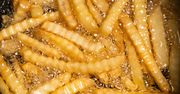 Jak smakują frytki w różnych krajach? O tych rodzajach mało kto w Polsce słyszał