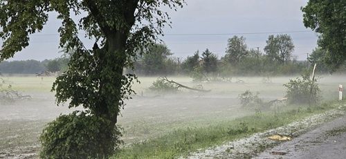 Skutki porannej wichury 