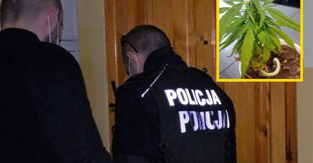 Co widzisz na tym zdjęciu z Wałbrzycha? Tłumaczenie 66-latki rozbraja