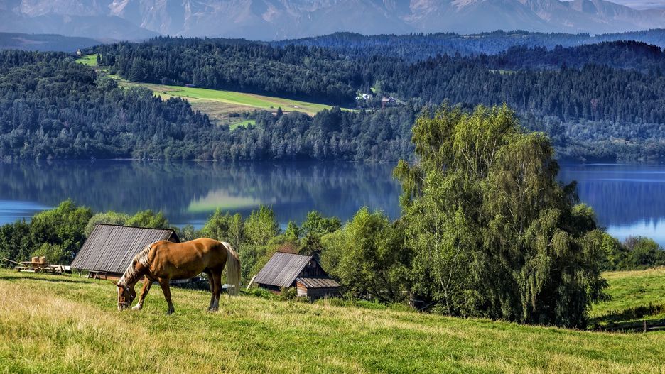 Szef resortu rolnictwa zapewnia, że pobyt na wsi będzie bezpieczniejszą opcją niż wakacje za granicą