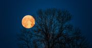 Warto spojrzeć w niebo. "Jedno z najbardziej wyjątkowych zjawisk astronomicznych tego roku"