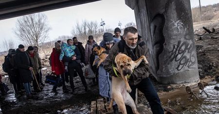 Ukrainka została bohaterką. Ratuje niepełnosprawne psy od wojny