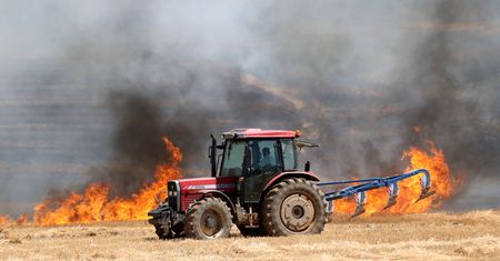 Ogromne upały w Turcji. Tak radzą sobie rolnicy