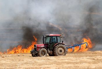Ogromne upały w Turcji. Tak radzą sobie rolnicy